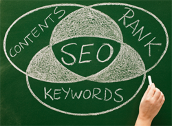 Search Engine Optimization SEO